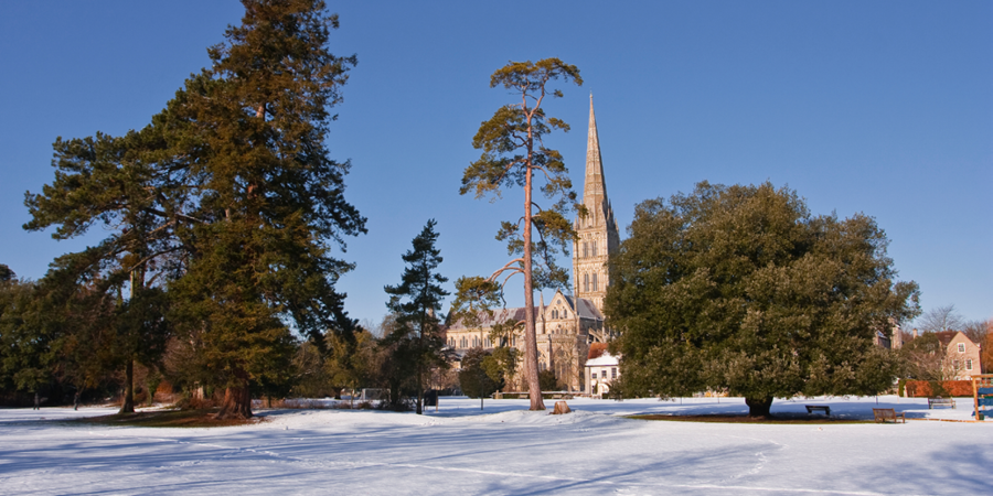 Experiencing Salisbury Cathedral on a private tour