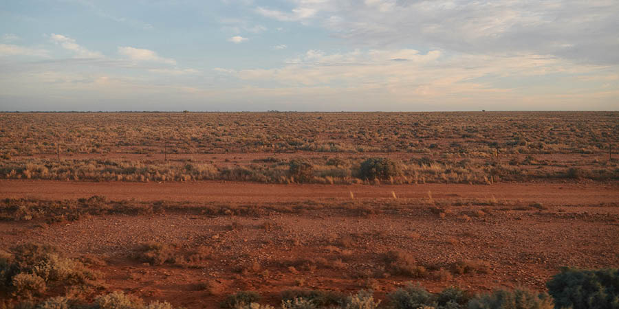 Enjoying a taste of outback life in Cook and Nullarbor