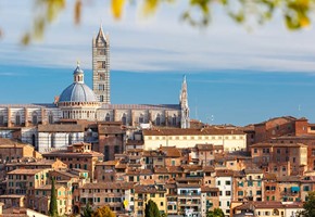 Siena & Hat Workshop